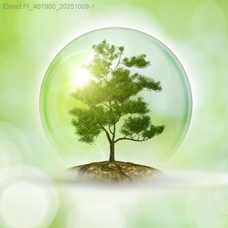 打造綠色生活！你不可不知的「台灣永續生活用品價格比較指引」完全攻略示意圖